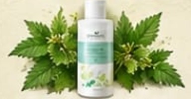 Brennessel Shampoo van Provida Organics