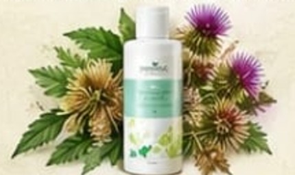 Klettenwurzel Kuur van Provida Organics
