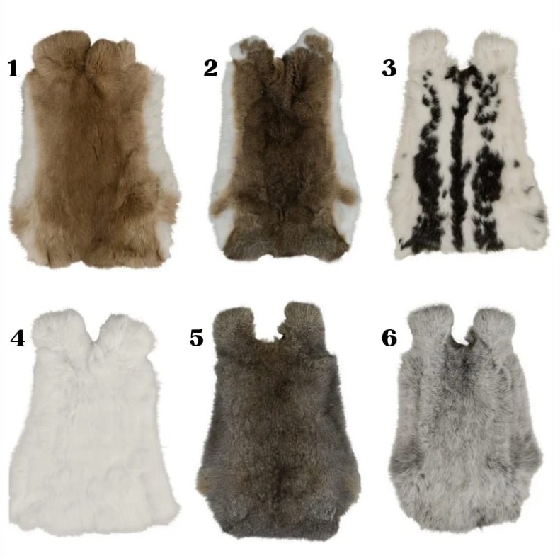 Zes konijnenvachten in verschillende kleuren, genummerd 1 tot en met 6